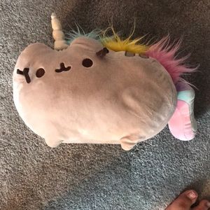 Big size pusheen